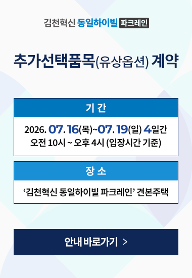 옵션 안내